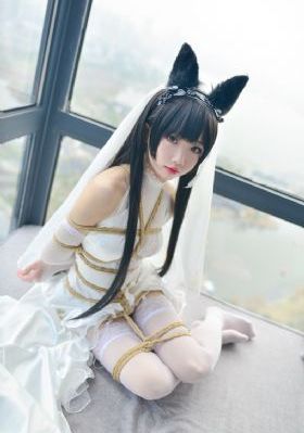 殊死七日40集免费观看_HD免费在线播放